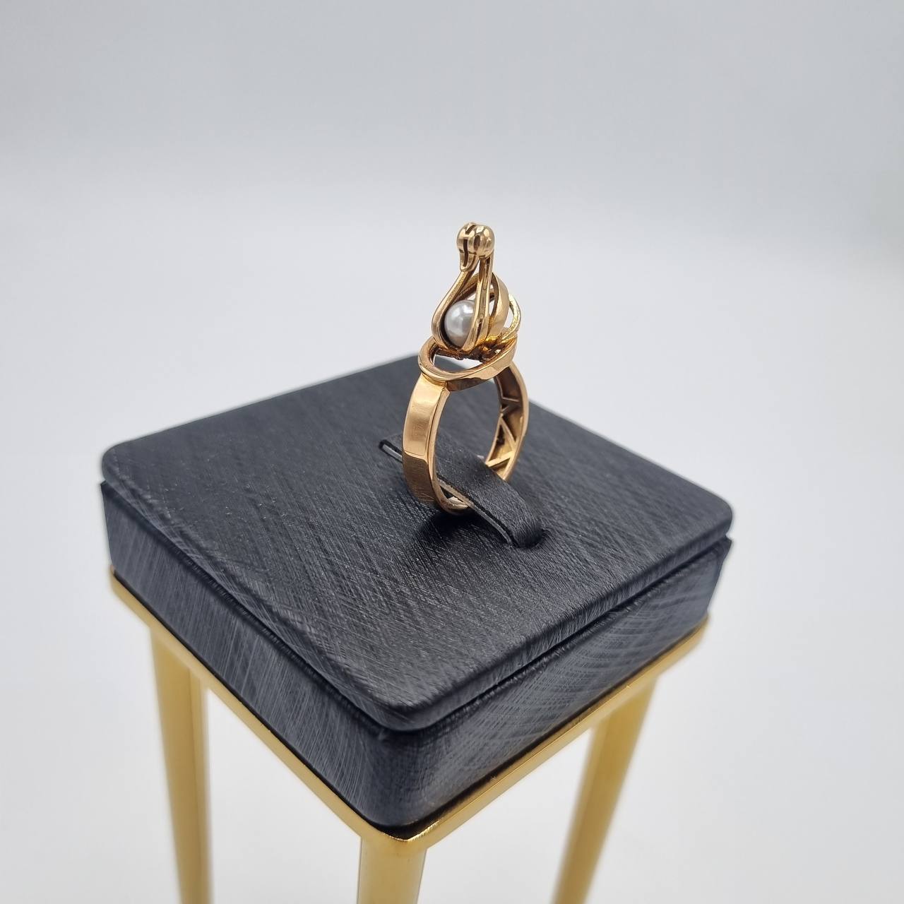 photo_2025-11-09_16-47-18