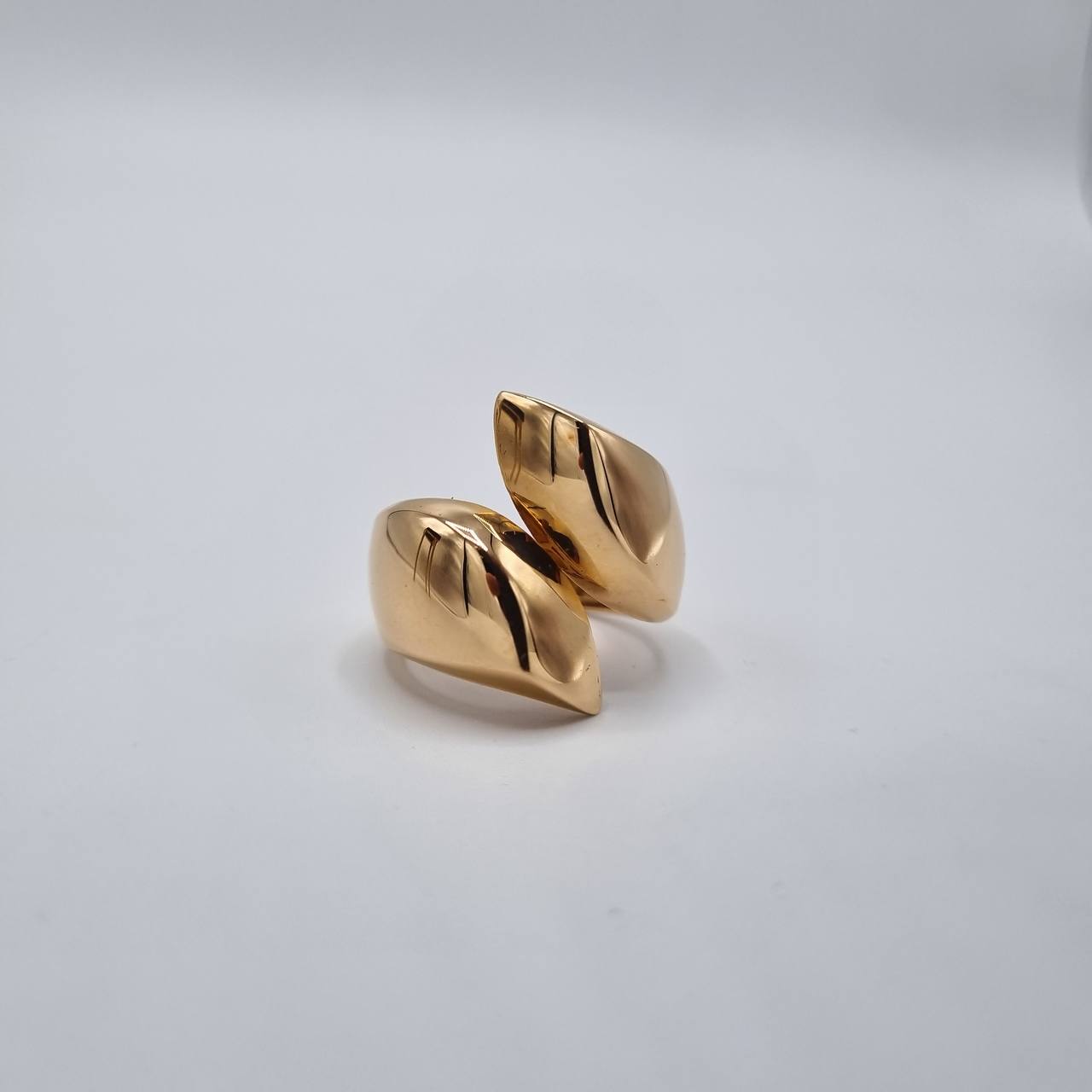 photo_2025-11-09_16-59-38