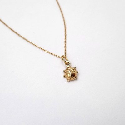 آویز طرح کفشدوزک کد ۵۴۰
